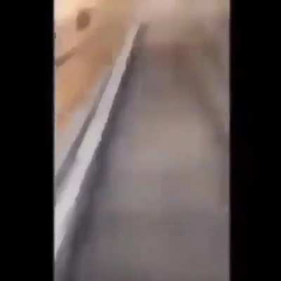 Putamare ta cerrado pe