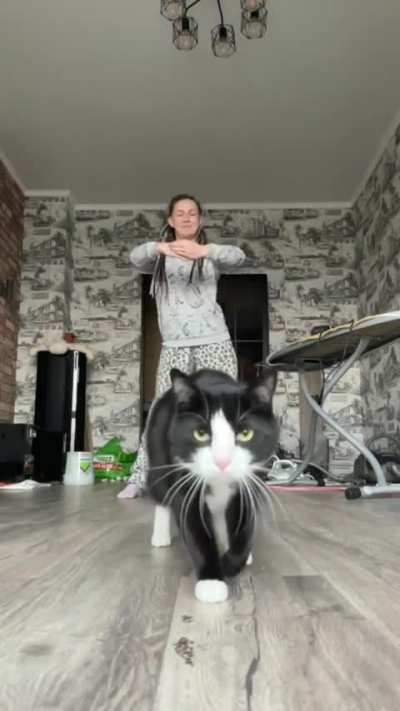 And we also have a cool one 🐈&zwj;⬛