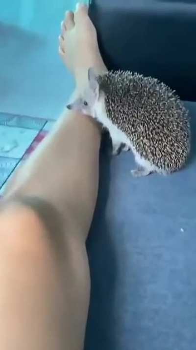 *sonic bite*