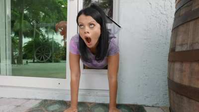 Stuck and fucked in a doggy door