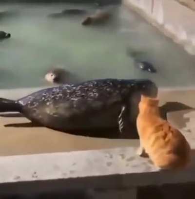 可爱☺