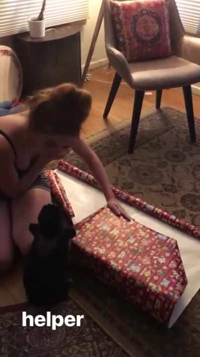 Marlhy and bunny