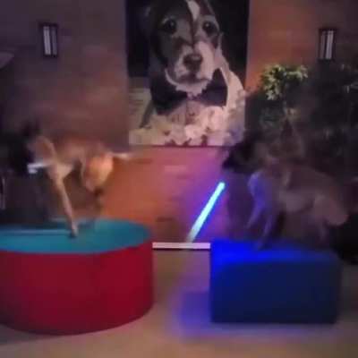 sguau wars