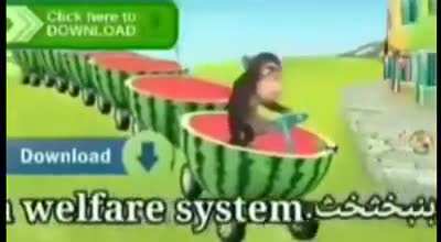 Bismillah habibi