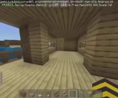 Minecraft...