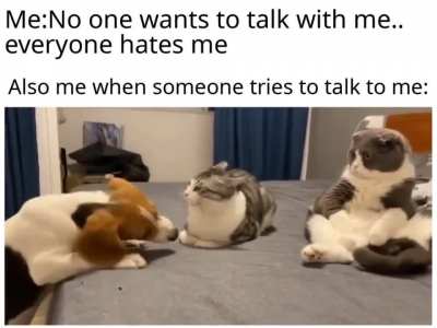 stay the fuck away from me