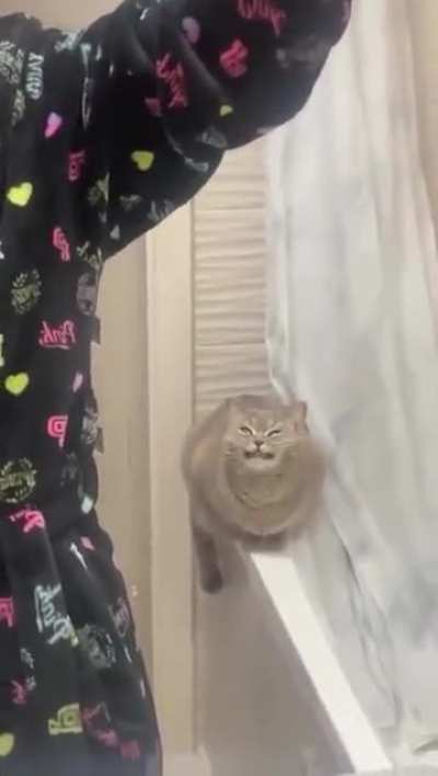Why iz et spicy