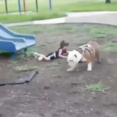 Out of my way Boy!