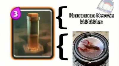 Terremoto