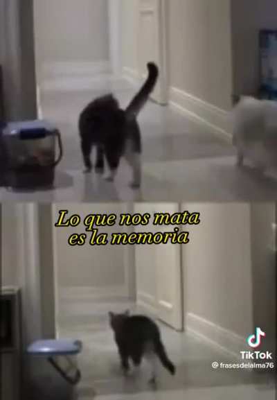 Lo que nos mata es la memoria