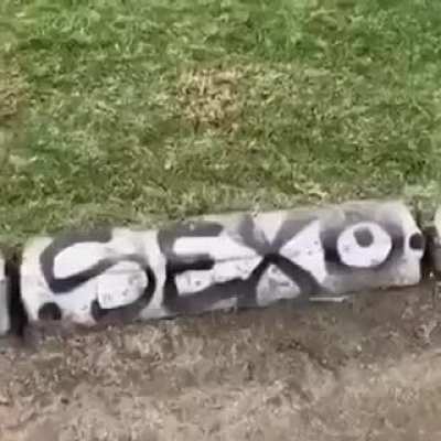 SEXOGANG😈🍆🍑