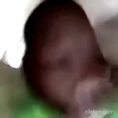 XD?