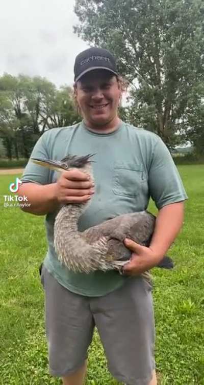 Does birds count?