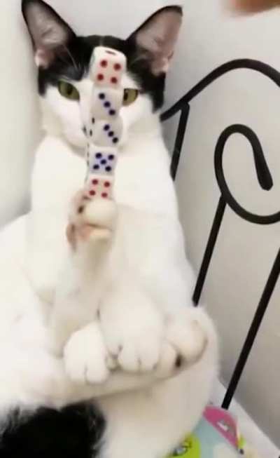 He CaN BaLaNcE