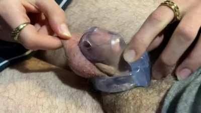 [M] [F] Love teasing you all day long, cucky…