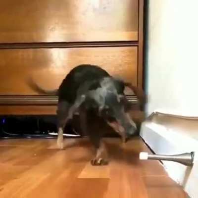 door stop springs are the devil's play thing, it must be destroyed.