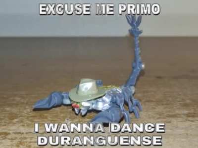 🦂🤠