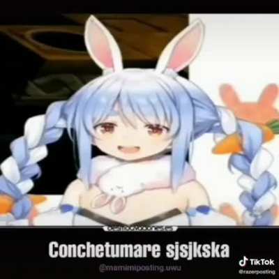 Conchetumare