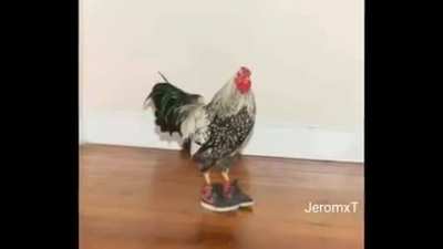 S&oacute; os foda