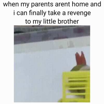 Rip
