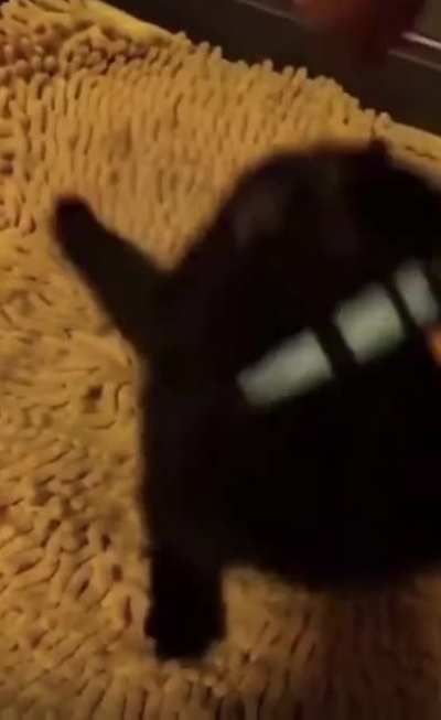 阔爱