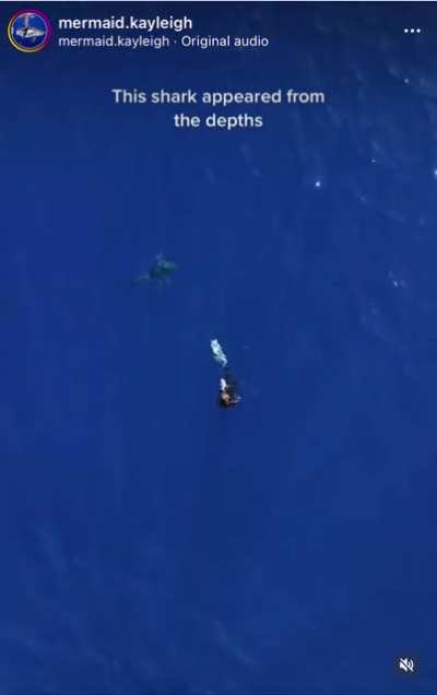 The deep blue of 1000s of feet of ocean beneath you. Credit 🎥: @Mermaid.Kayleigh