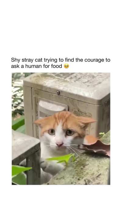 Poor baby