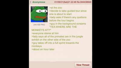 Anon witnesses some monkey business