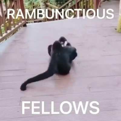 rule? Is there even a 