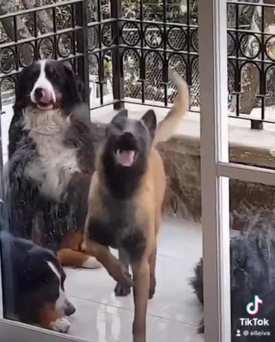 She&rsquo;s a maniac&hellip;