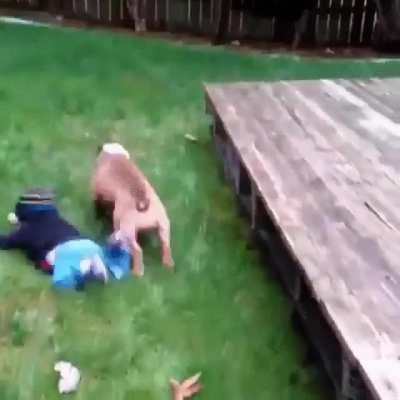 Textbook Tackle