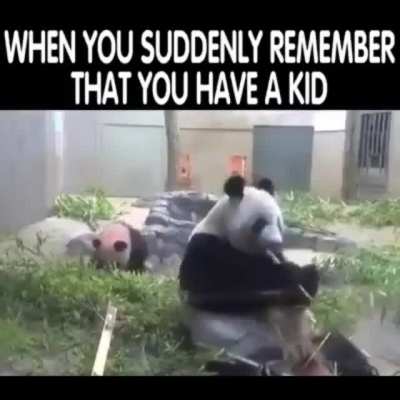 Pandas are so dumb