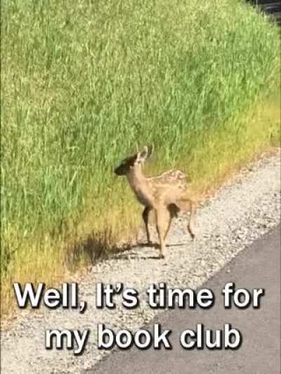 Oh Deer