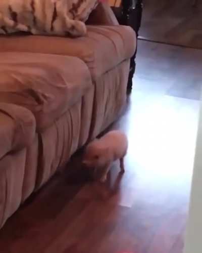 So close... Try again!
