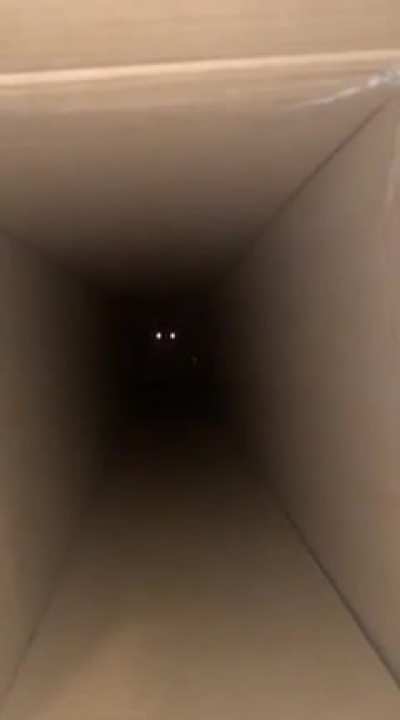 The lights at the end of the tunnel
