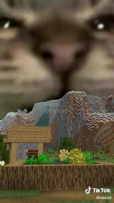 what the fuck