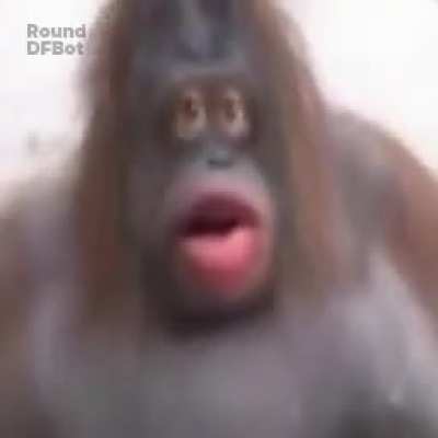 Me when no banan 😭