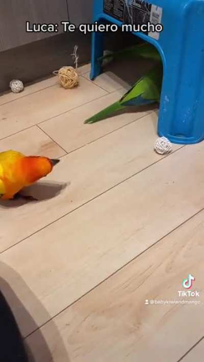 Lots of Kissing