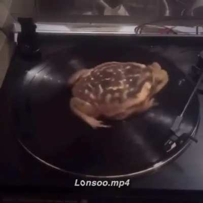 Memes x m&uacute;sica
