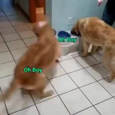 Twirl