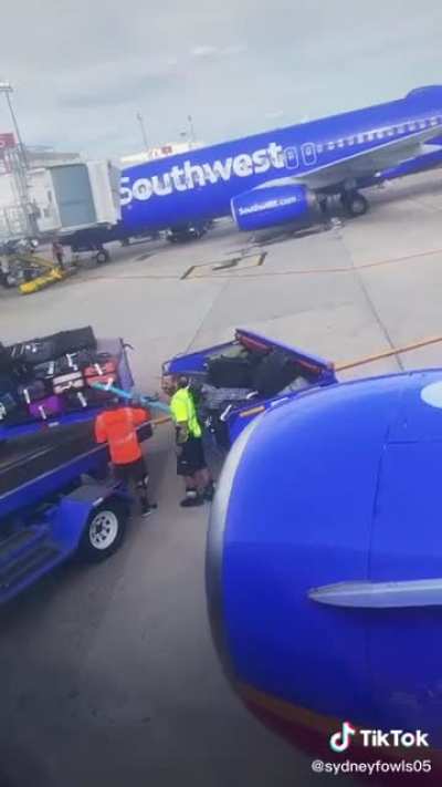 Pool noodle makes it from Ohio to Florida