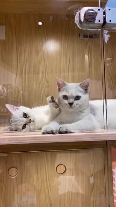 Masseuse