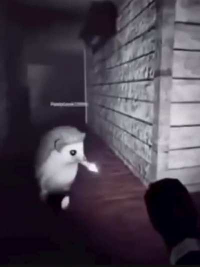 sonic?