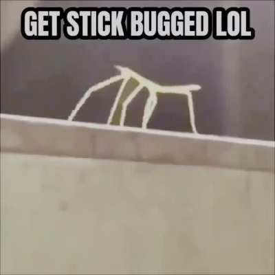 Stickception