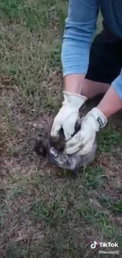 Can&rsquo;t think of a title