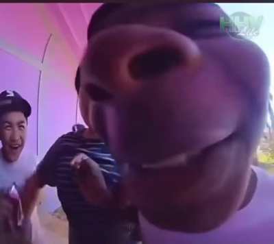 Why that bad ahh Lil nigga Walk up to the door like dat🤣🤣🤣