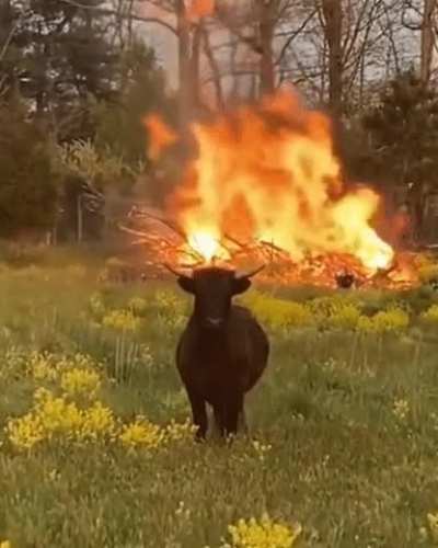 He is coming