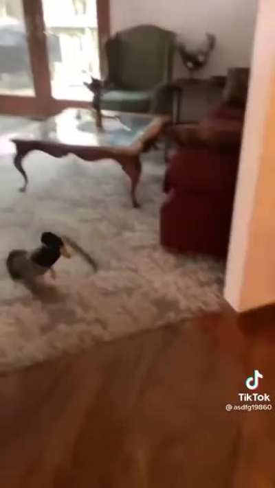 "LET HER DO HER YOGA, DUDE!"