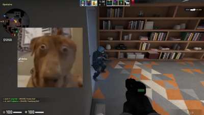 A clip of mine which might make you laugh or give you trauma, enjoy :)