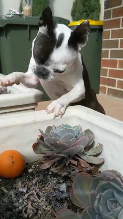 "I need thumbs!"